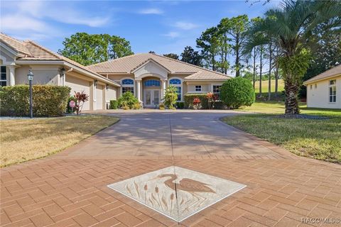 1861 N Eagle Chase Drive Hernando FL 34442