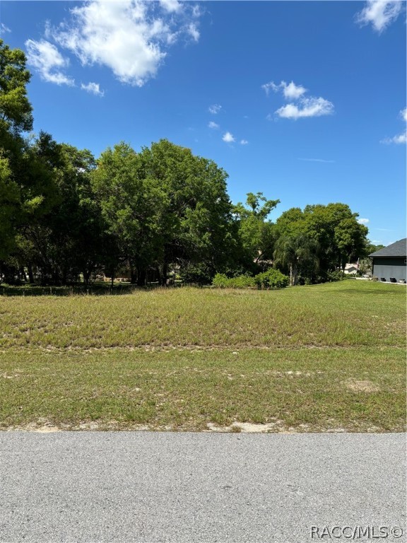 Oak Pointe Drive, Lady Lake, Florida image 12