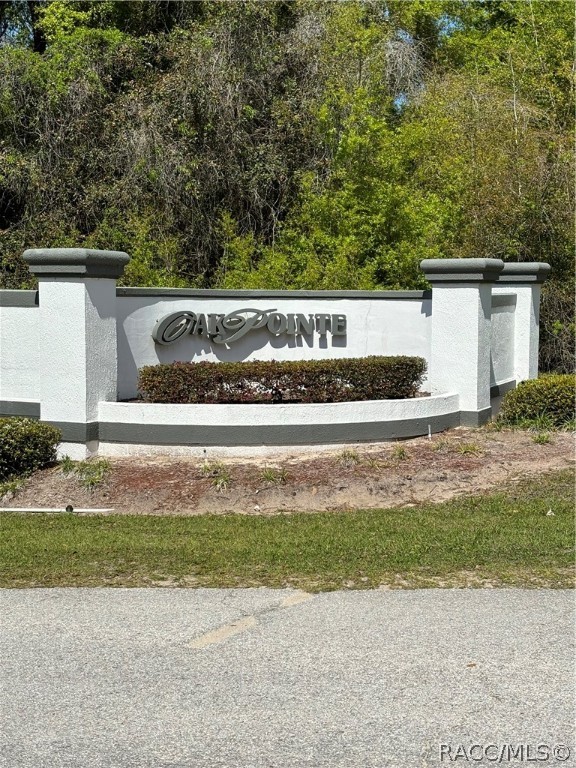 Oak Pointe Drive, Lady Lake, Florida image 1