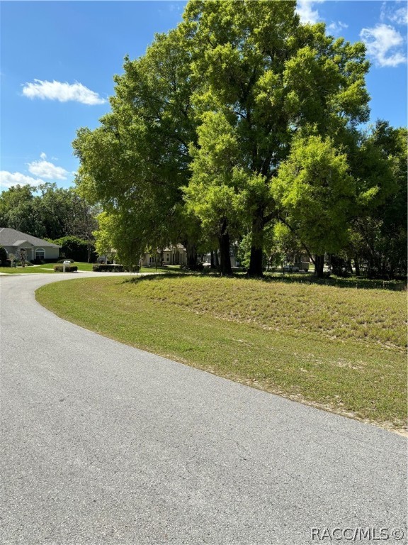 Oak Pointe Drive, Lady Lake, Florida image 10