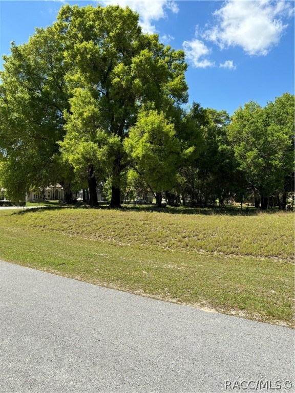 Oak Pointe Drive, Lady Lake, Florida image 11