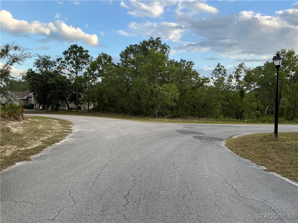 21 Smilax Court, Homosassa, Florida image 6