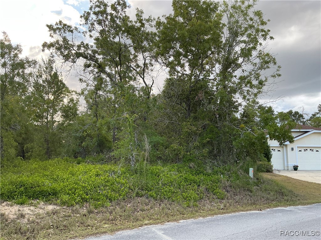 21 Smilax Court, Homosassa, Florida image 3