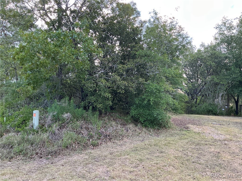 21 Smilax Court, Homosassa, Florida image 5
