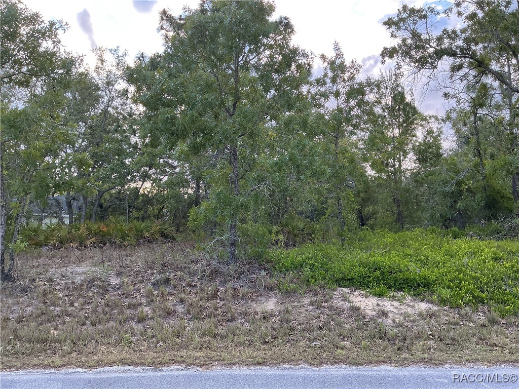21 Smilax Court, Homosassa, Florida image 1