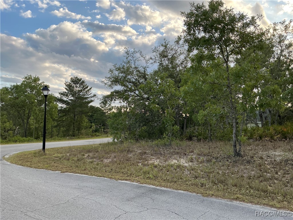 21 Smilax Court, Homosassa, Florida image 2