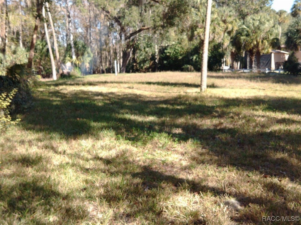 11931 E Riverrun Court, Inverness, Florida image 2