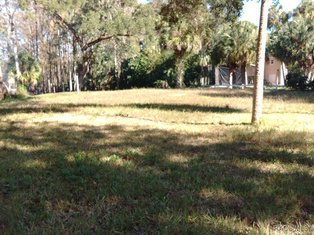 11931 E Riverrun Court, Inverness, Florida image 5