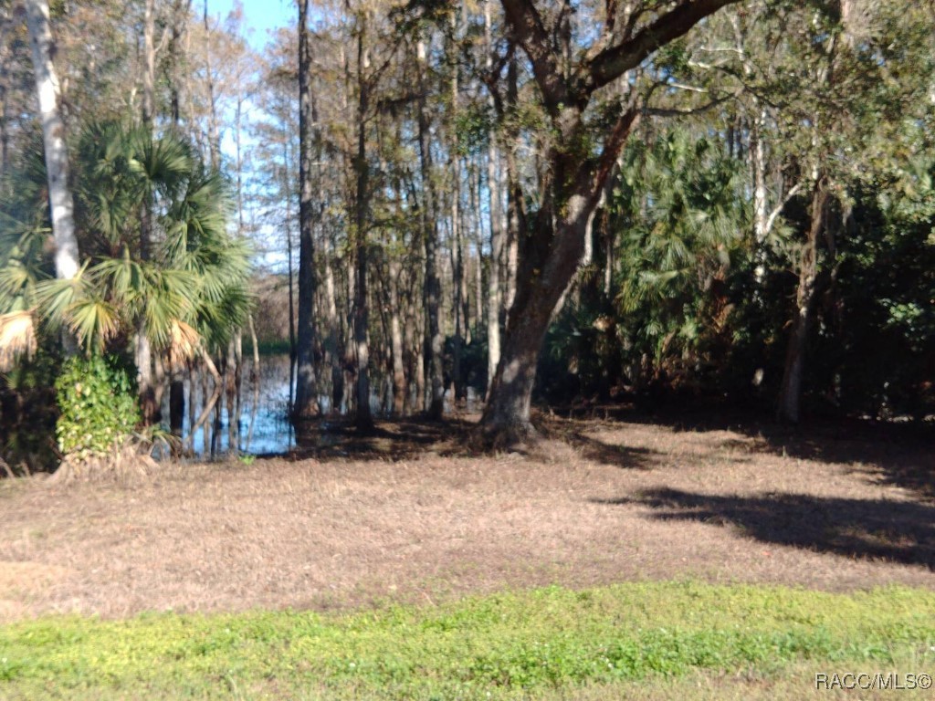 11931 E Riverrun Court, Inverness, Florida image 4