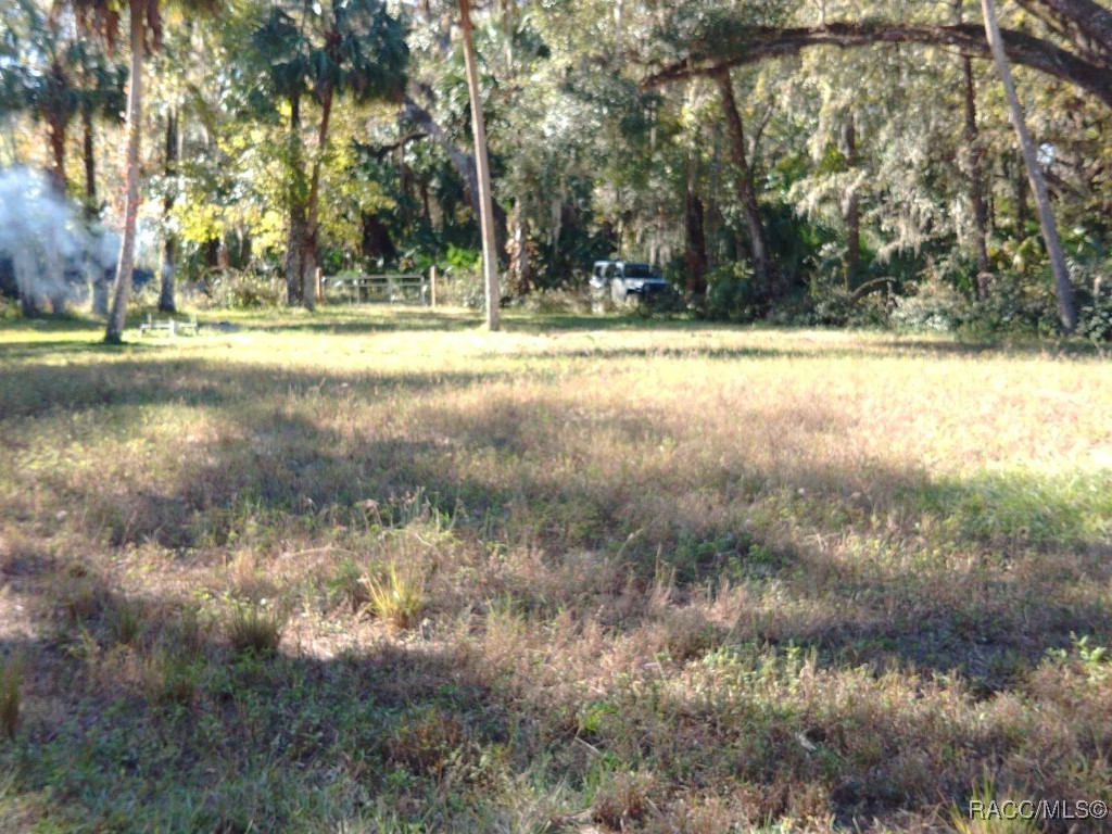 11931 E Riverrun Court, Inverness, Florida image 3