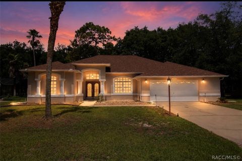 Homes For Sale - 146 Douglas Street<br/> Citrus County, Homosassa, FL 34446