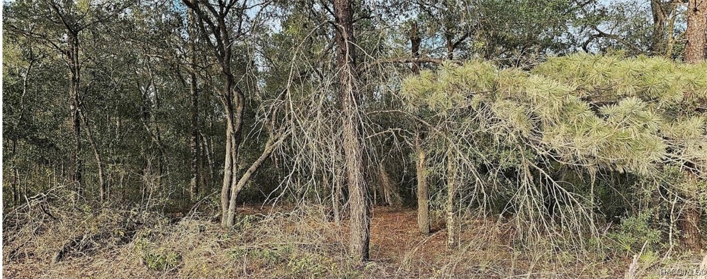 1387 N Hajik Path, Lecanto, Florida image 1