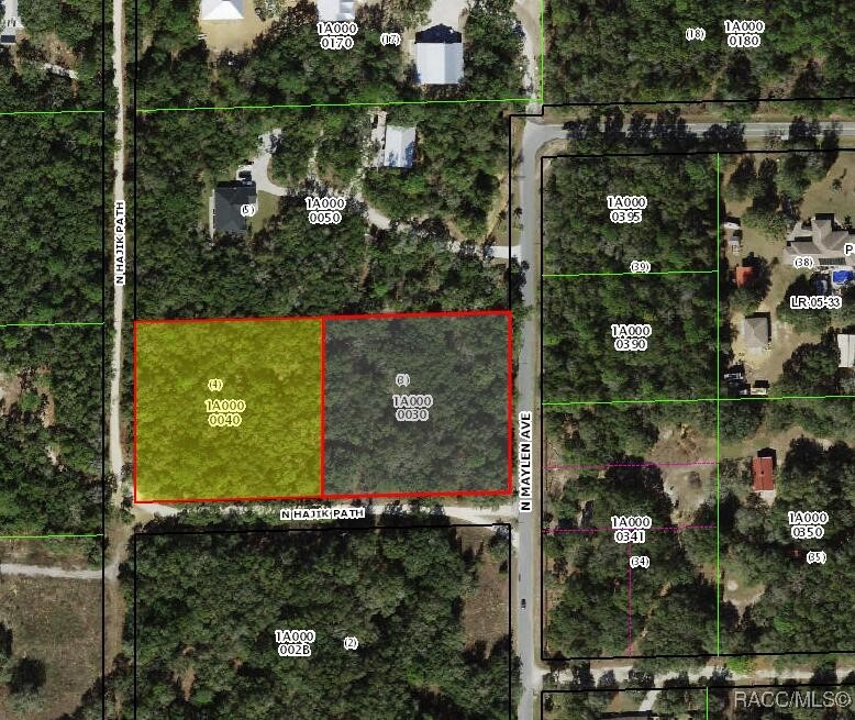 1387 N Hajik Path, Lecanto, Florida image 2