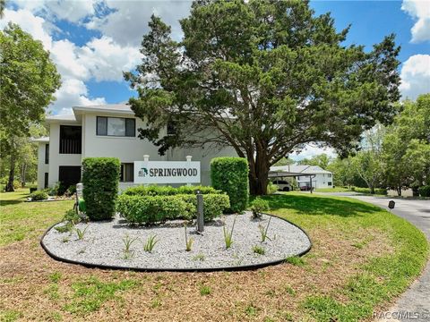 Condo For Sale - 133 Anton Court<br/> Homosassa, FL 34446
