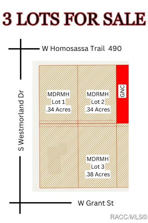 6962 W Homosassa Trail, Homosassa, New York image 2
