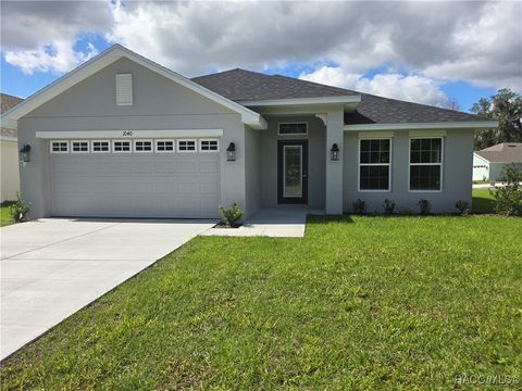 1040 Heron Point Drive Inverness FL 34453