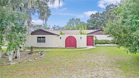 53 N Archwood Drive Inverness FL 34450
