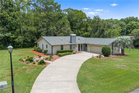 A home in Homosassa