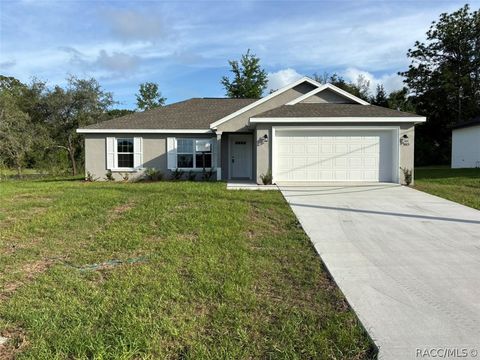 Homes For Sale - 3003 W Echo Place<br/> Dunnellon, FL 34433