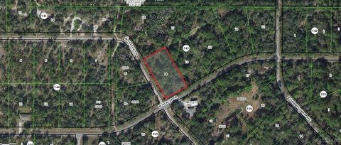 Vacant Land For Sale - 11925 W Acacia Drive<br/> Crystal River, FL 34428