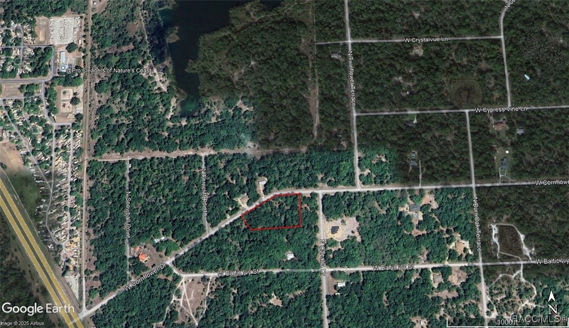 12968 & 12926 W Cornflower Drive, Crystal River, Florida image 1