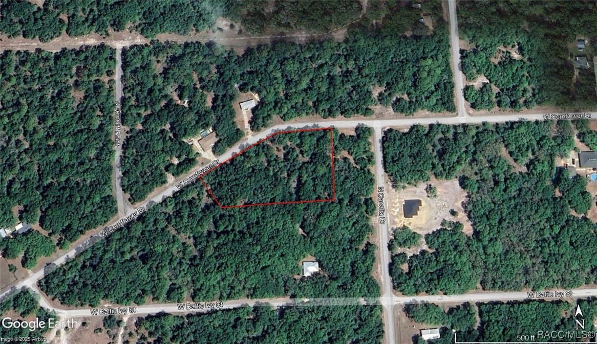 12968 & 12926 W Cornflower Drive, Crystal River, Florida image 2
