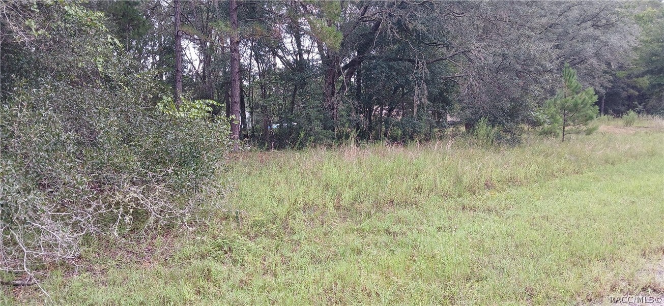 1623 E Ivydale Drive - Photo 3
