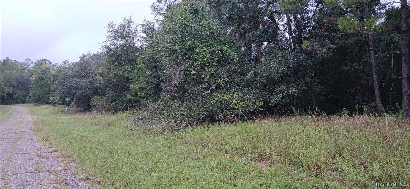 1623 E Ivydale Drive - Photo 4