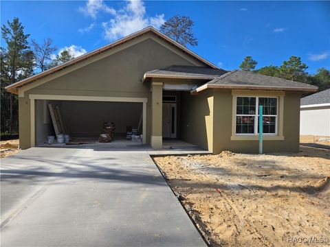 2521 Clearwood Street Inverness FL 34452