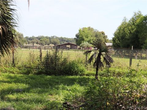 A home in Hernando