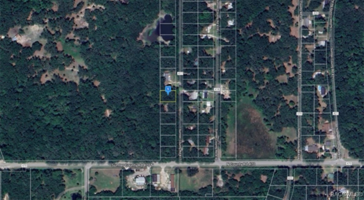 LOT 21 Cr 417, Lake Panasoffkee, Florida image 2