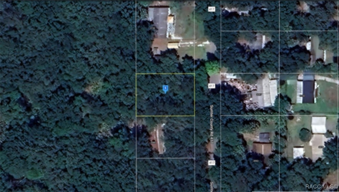 LOT 21 Cr 417, Lake Panasoffkee, Florida image 1