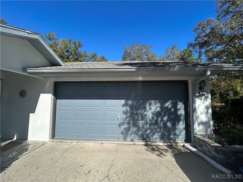 A home in Citrus Springs