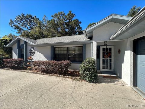 A home in Citrus Springs