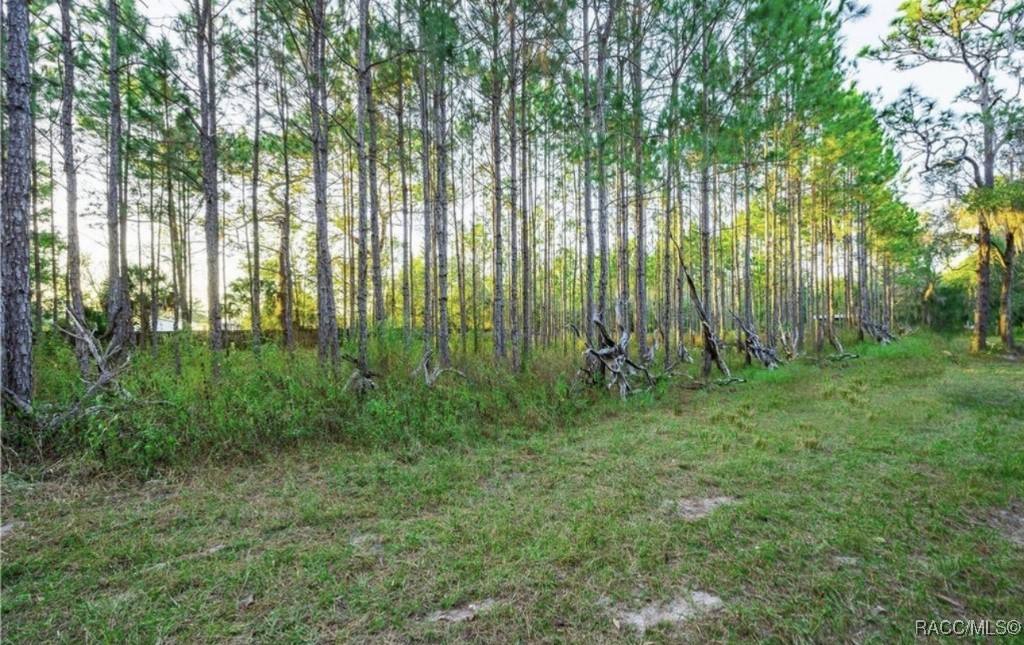 9030 W Ozello Trail, Crystal River, Florida image 8