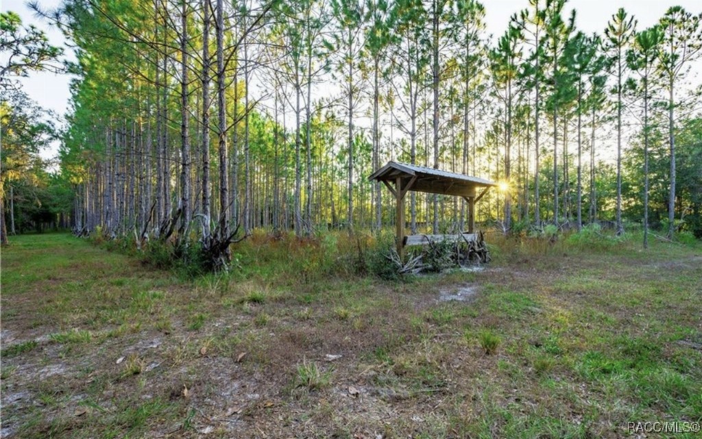 9030 W Ozello Trail, Crystal River, Florida image 9