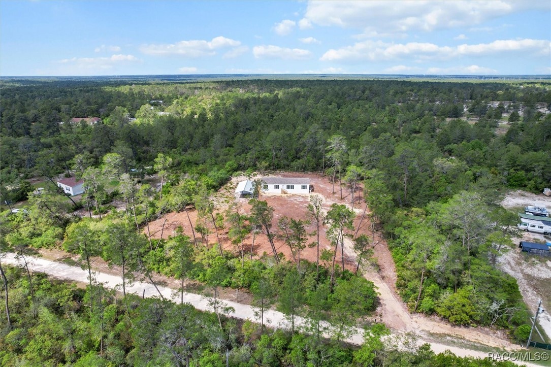 6346 N Polar Point, Dunnellon, Florida image 11