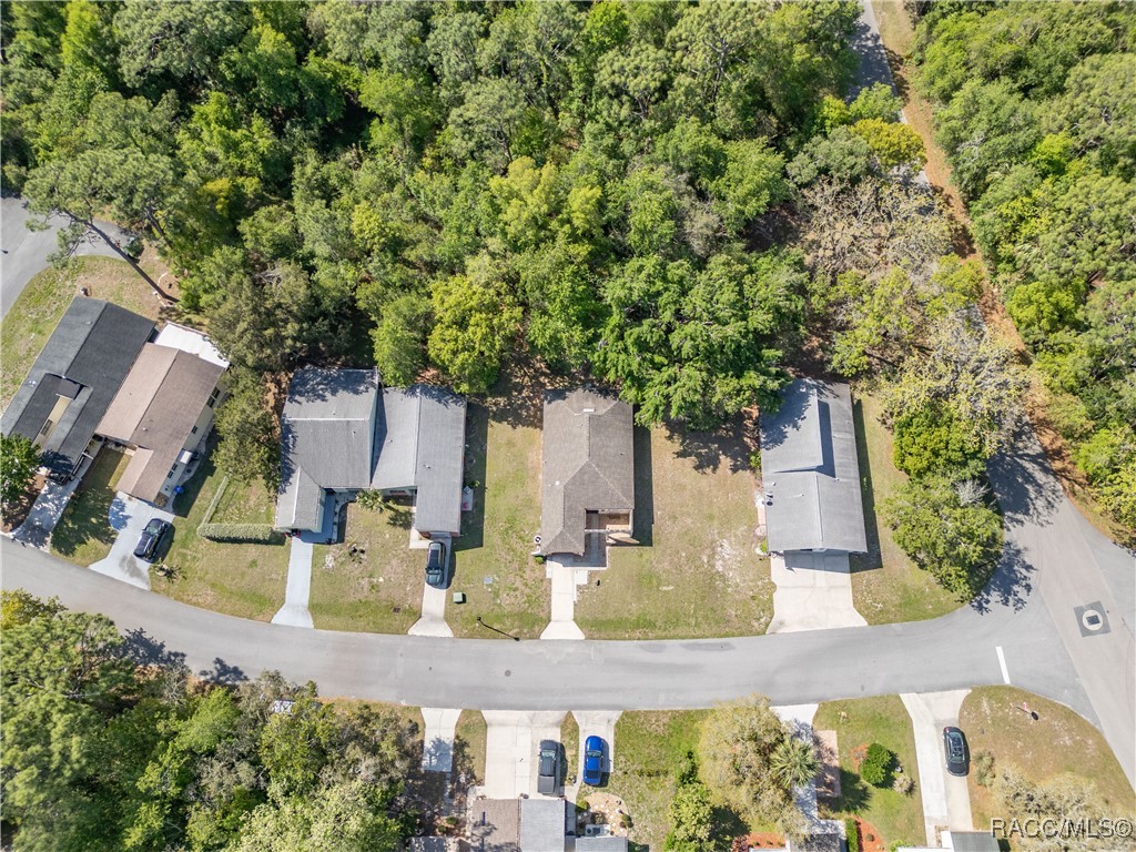 9 Chinaberry Circle, Homosassa, Florida image 29