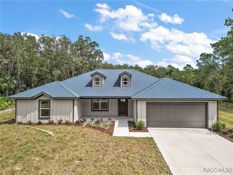 12052 W Wildflower Street Crystal River FL 34428