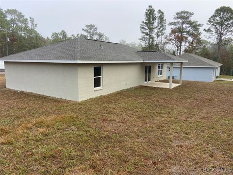 A home in Dunnellon