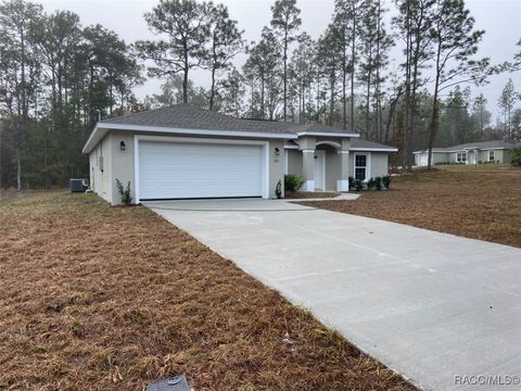 A home in Dunnellon