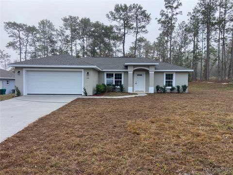 A home in Dunnellon