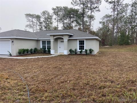 A home in Dunnellon