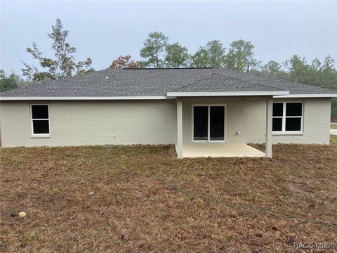 A home in Dunnellon