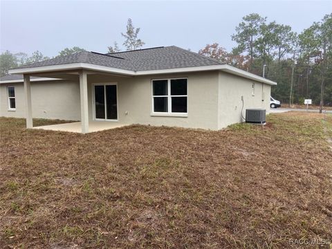 A home in Dunnellon