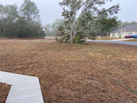 A home in Dunnellon