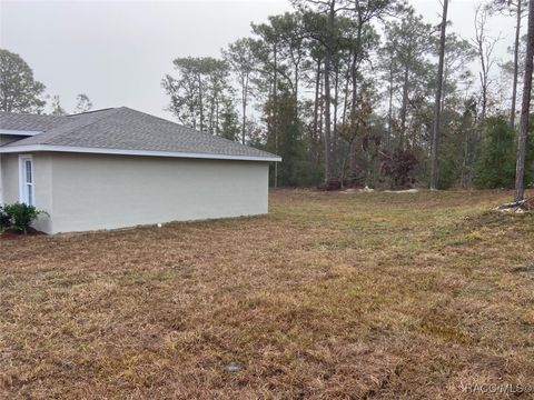 A home in Dunnellon