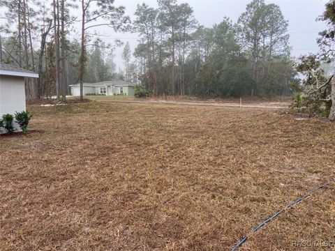 A home in Dunnellon