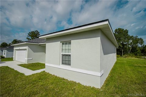 A home in Citrus Springs