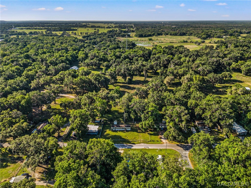 1940 Cr 428, Lake Panasoffkee, Florida image 19